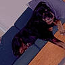 Freedom is registered to the contest to win money with this photo: black_and_tan_dog, blue_couch, coffee_table, couch, cute, dim_lighting, dog, furniture, home, indoor, living_room, lying_down, paw, pet, portrait, relaxed, resting, sleeping, vertical_photo, wooden_floor