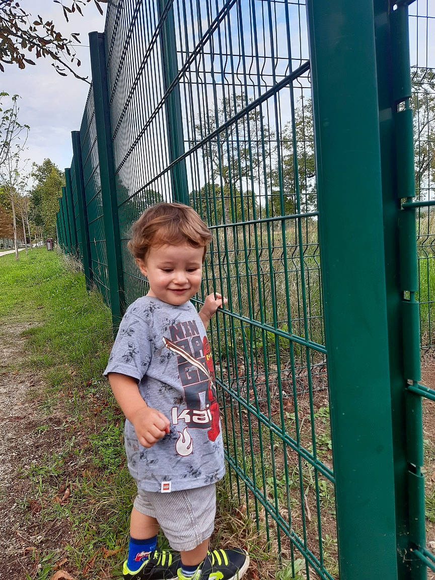 Ezra participe au concours pour gagner de l'argent avec cette photo : child, fence, grass, happy, human_settlement, joy, leaf, leisure, mammal, mesh, people_in_nature, person, plant, public_space, recreation, shorts, sky, smile, toddler, tree