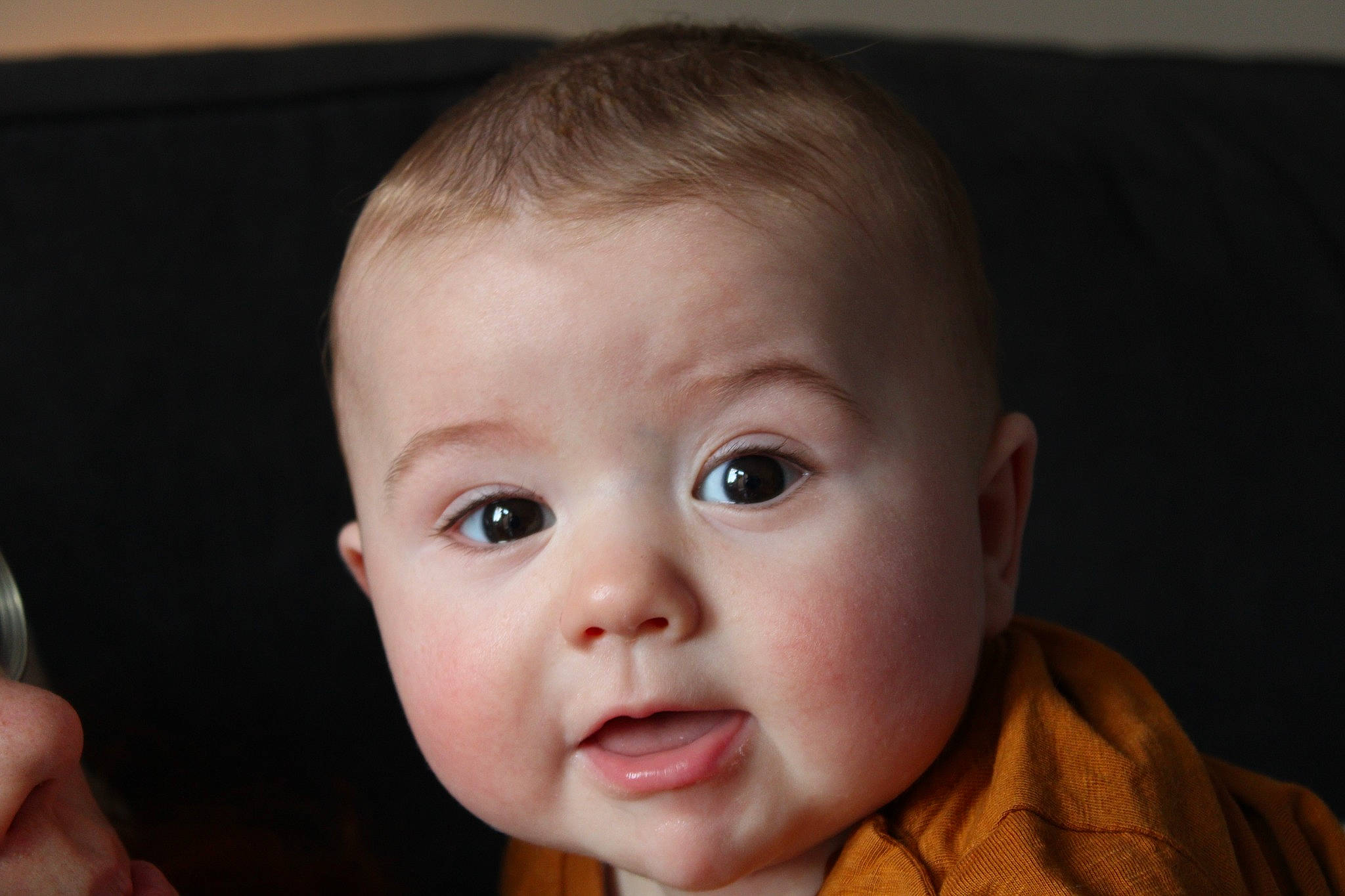 Léon a rejoint le concours — aidez-le/la à gagner de superbes lots ! baby, baby_toddler_clothing, cheek, ear, eyebrow, eyelash, finger, flash_photography, gesture, happy, iris, jaw, lip, mouth, no_expression, nose, person, skin, smile, surprised