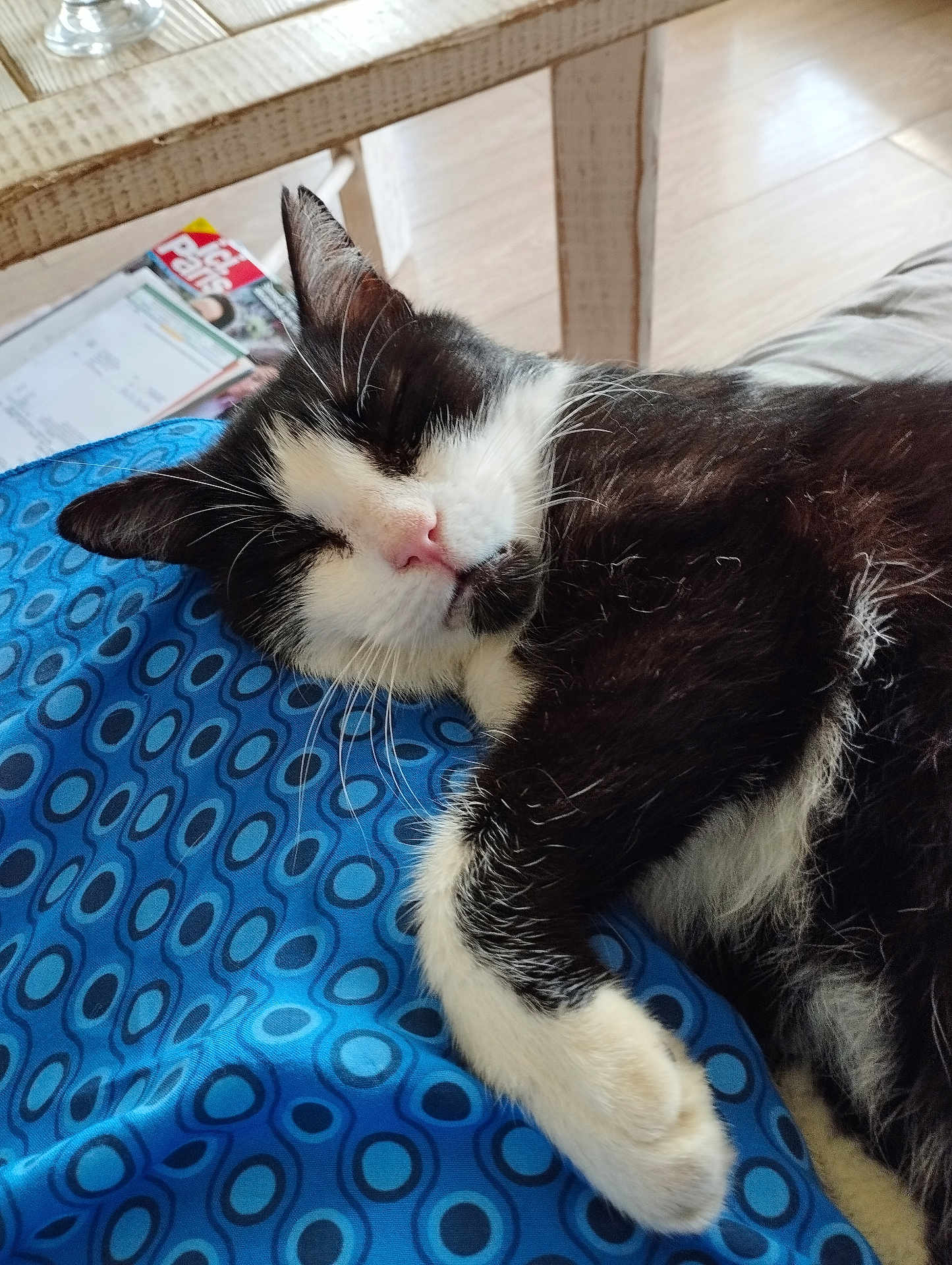 Chatchat