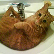 Joyce a rejoint le concours — aidez-le/la à gagner de superbes lots !