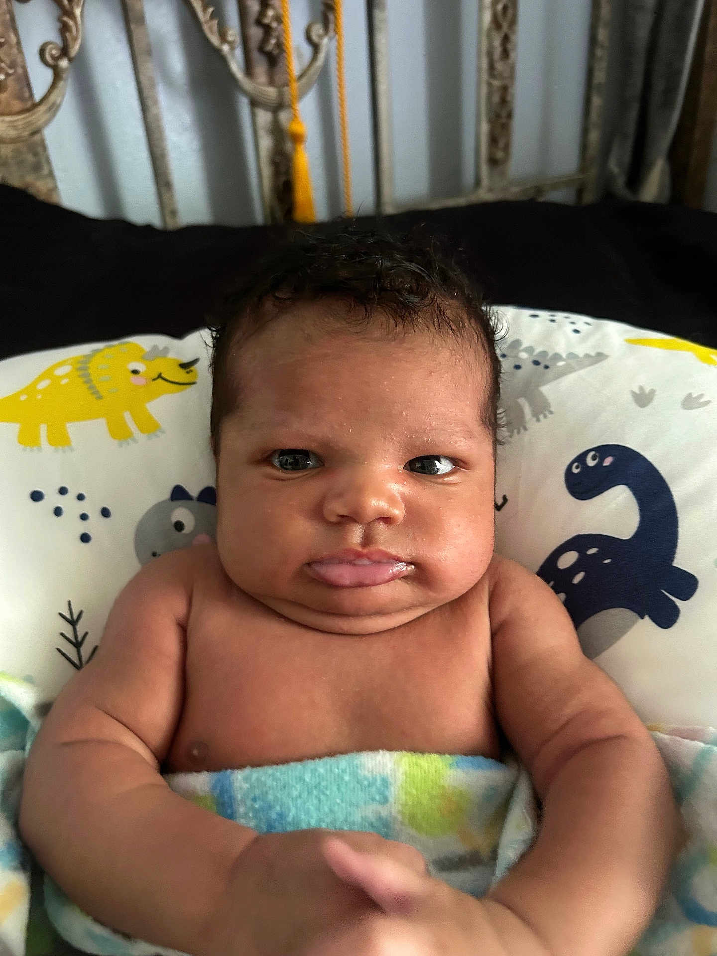Damauirre joined the competition — help win amazing prizes! baby, infant, child, blanket, pillow, dinosaur, cute, face, expression, indoors, skin, arms, head, person, newborn, lying_down, curly_hair, portrait, soft, resting