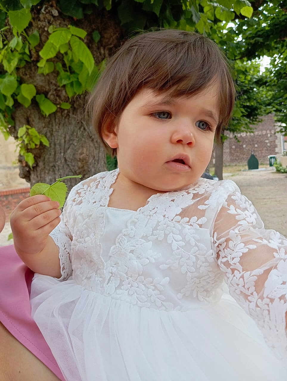 Dany is registered to the contest to win money with this photo: toddler, child, white_dress, lace, leaf, tree, outdoor, nature, greenery, portrait, young_child, curious, person, summer, daylight, expression, short_hair, cute, innocence, holding