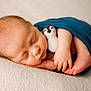 Ryker is registered to the contest to win money with this photo: newborn, baby, sleeping, infant, blanket, plush_toy, penguin, soft_texture, close_up, peaceful, cute, wrapped, skin, hand, foot, resting, cozy, indoors, portrait, child