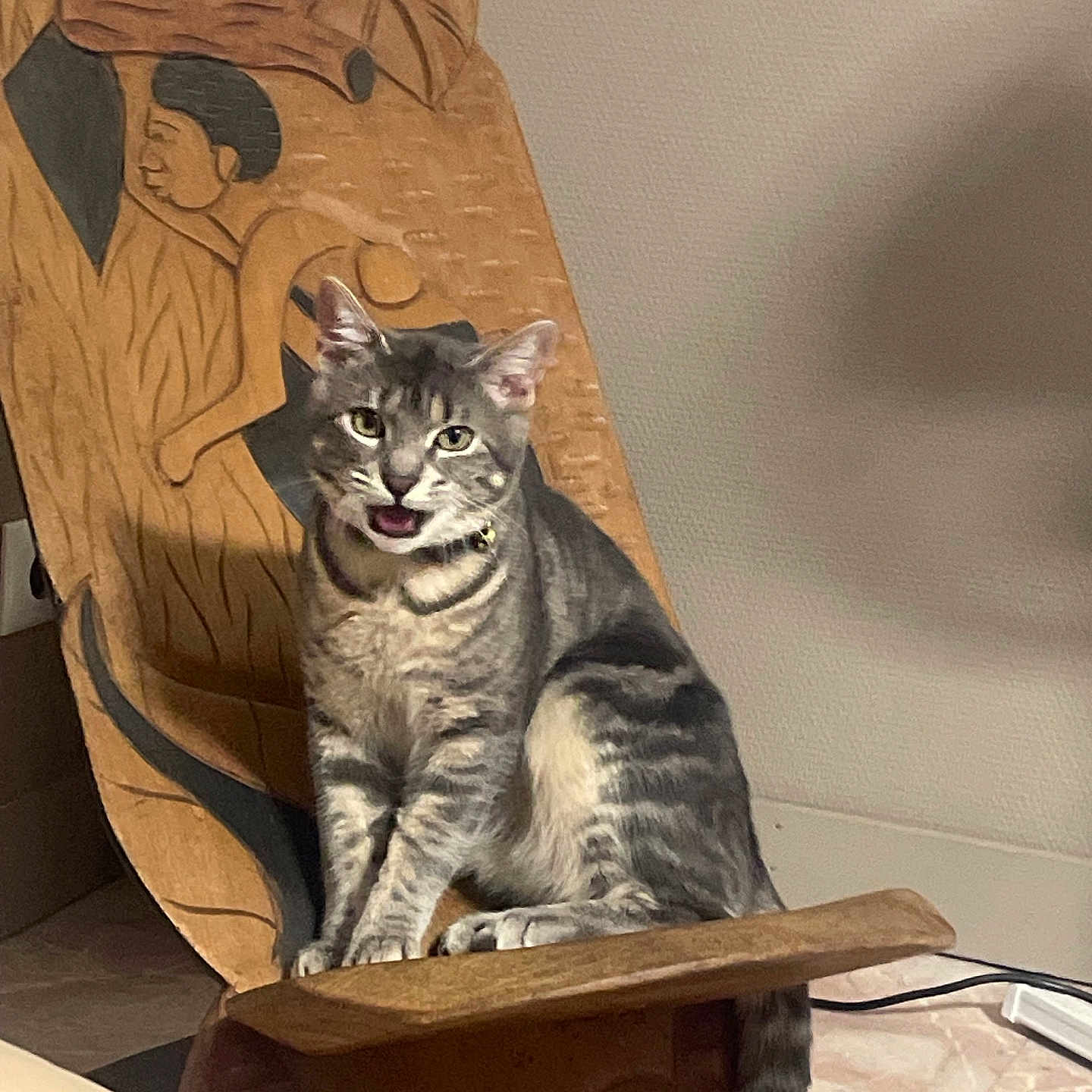 Kaya a rejoint le concours — aidez-le/la à gagner de superbes lots ! animal, carving, cat, domestic_cat, eyes, feline, floor, furniture, grey, household, indoor, meowing, mouth_open, pet, relaxed, sitting, striped, tabby, tail, wooden_chair