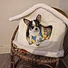 dog, chihuahua, small_dog, pet, animal, sitting, blanket, blanket_fort, wicker_chair, chair, cushion, indoors, home, cozy, cute, portrait, black_and_white, brown, colorful, floor