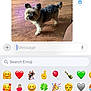 dog, small_dog, wooden_floor, indoor, pet, curious, fluffy, standing, canine, fur, brown, black, ears, tail, mobile_phone, imessage, emoji_keyboard, screen, technology, communication