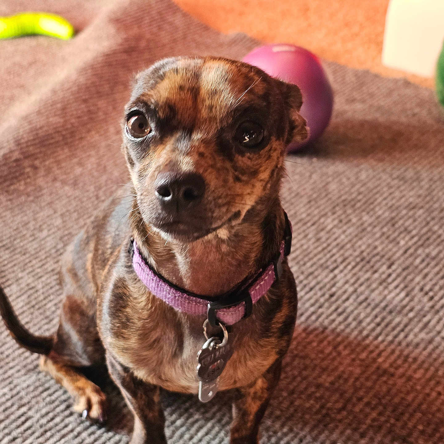 Kona Marie