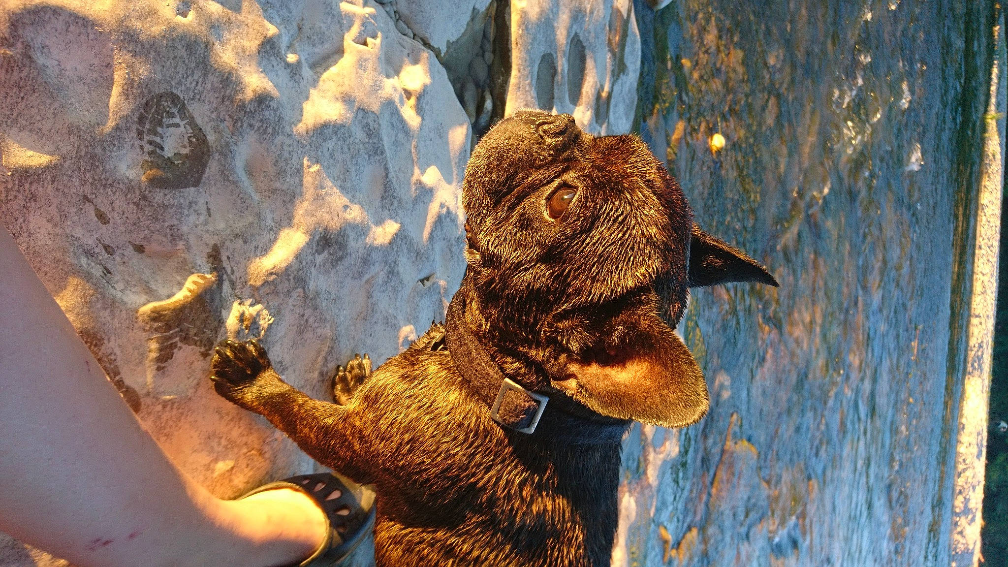 Pasha a rejoint le concours — aidez-le/la à gagner de superbes lots ! body_of_water, carnivore, crocodile, eye, fawn, happy, human_body, organism, people_in_nature, reflection, reptile, scaled_reptile, snout, sunlight, tail, terrestrial_animal, trunk, water, wildlife, wood