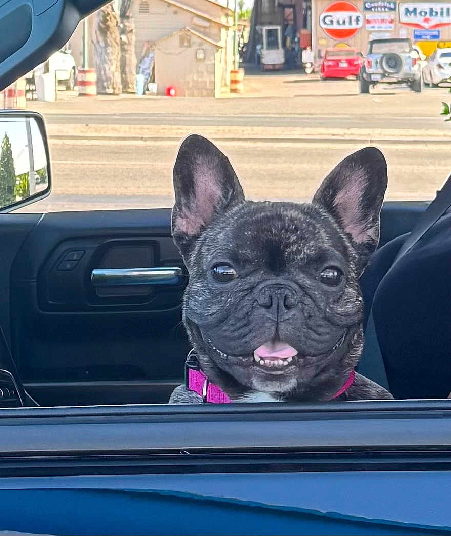 Nala