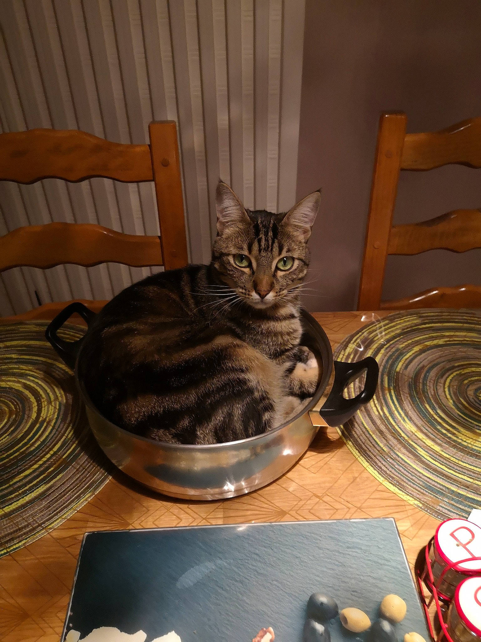 Pitchou participe au concours pour gagner de l'argent avec cette photo : bowl, carnivore, cat, cat_supply, chair, comfort, domestic_short_haired_cat, felidae, fur, hardwood, home_appliance, pet_food, pet_supply, room, serveware, small_to_medium_sized_cats, tableware, tail, whiskers, wood