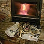 animal, blanket, comfort, cozy, cute, dog, fireplace, home, indoor, mammal, pet, pug, relaxed, resting, smiling, snug, stone_wall, tongue_out, warm, wood_floor