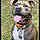 Zoey