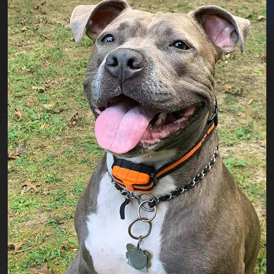 Zoey
