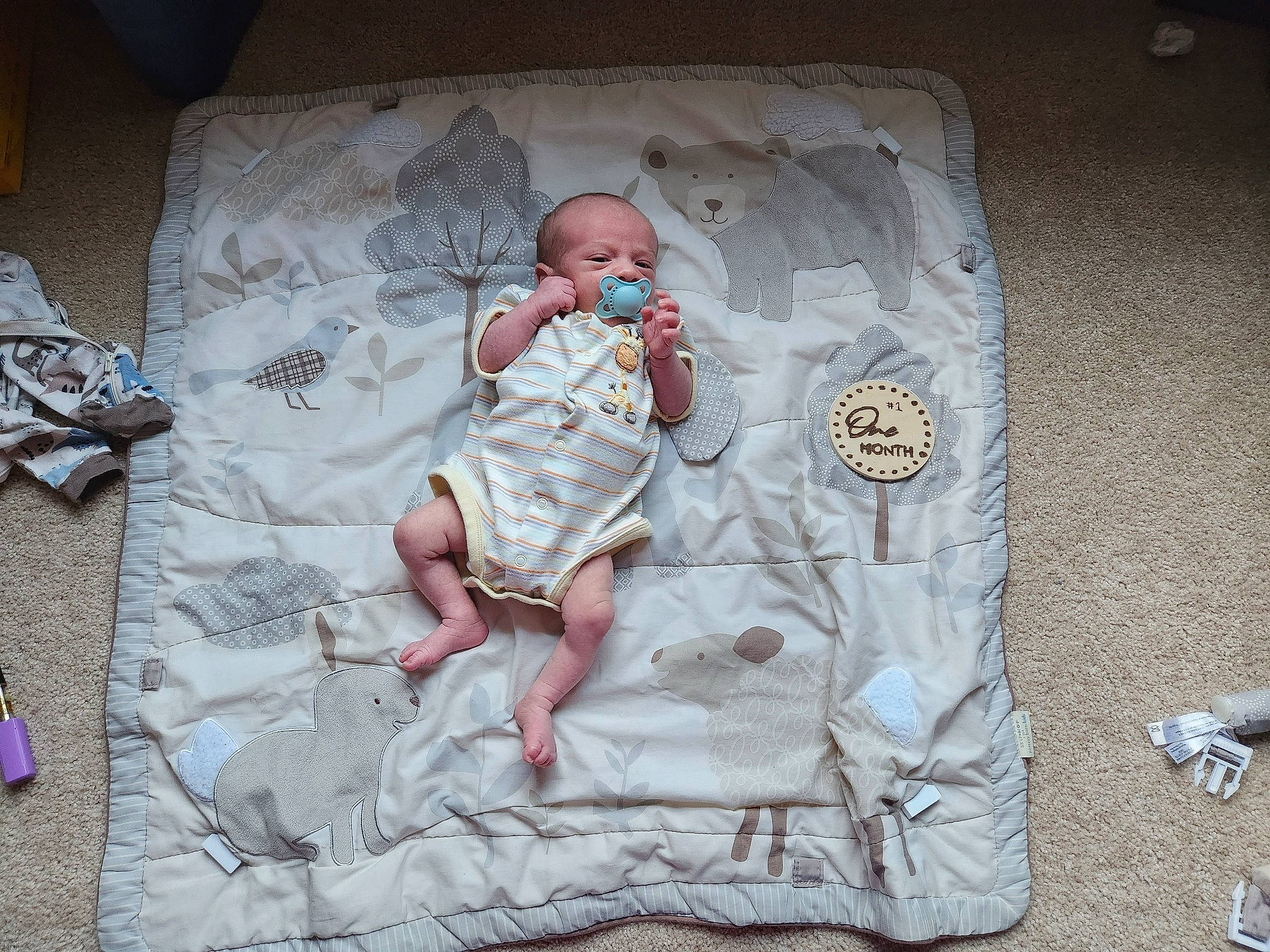 Andrew joined the competition — help win amazing prizes! baby, baby_products, baby_sleeping, baby_toddler_clothing, bed, bedding, bedtime, child, comfort, grey, infant_bed, linens, nap, pattern, person, product, room, sleep, sleeve, textile