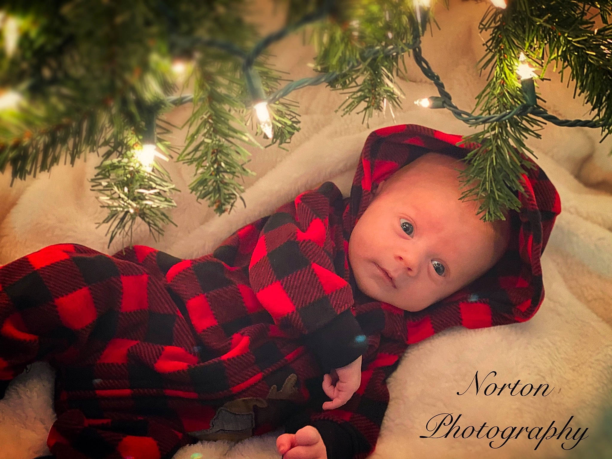 Benjamin is registered to the contest to win money with this photo: baby, baby_toddler_clothing, christmas, christmas_decoration, christmas_eve, christmas_ornament, christmas_tree, conifer, evergreen, fir, holiday, oregon_pine, ornament, pattern, person, pine_family, plaid, shortstraw_pine, silvertip_fir, tartan