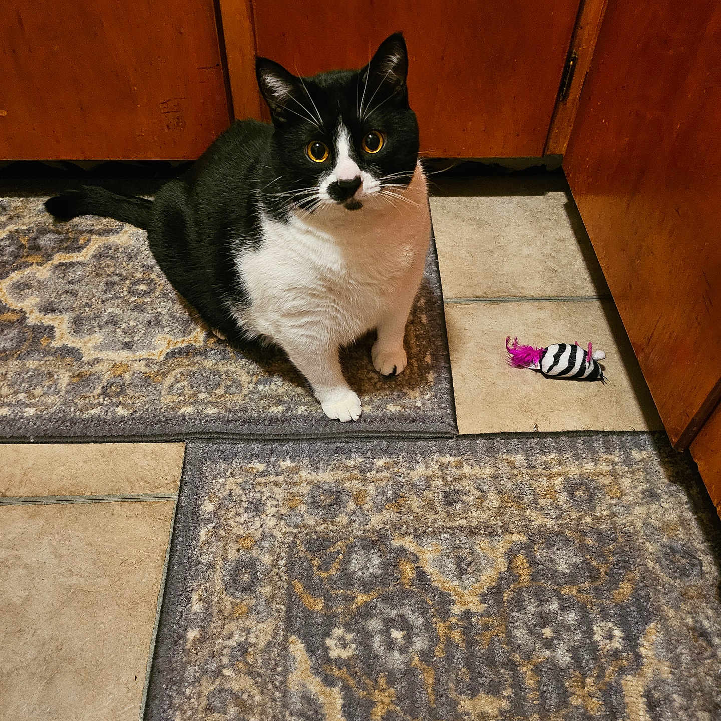 Poopypants
