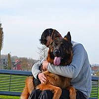 Junior a rejoint le concours — aidez-le/la à gagner de superbes lots ! canidae, carnivore, companion_dog, dog, dog_breed, east_european_shepherd, german_shepherd_dog, giant_dog_breed, king_shepherd, mammal, obedience_training, old_german_shepherd_dog, police_dog, vertebrate, working_dog