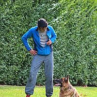 Indra a rejoint le concours — aidez-le/la à gagner de superbes lots ! belgian_shepherd, belgian_shepherd_malinois, canidae, carnivore, companion_dog, dog, dog_breed, dog_sports, german_shepherd_dog, king_shepherd, lawn, mammal, obedience_training, old_german_shepherd_dog, police_dog, schutzhund, vertebrate, working_dog