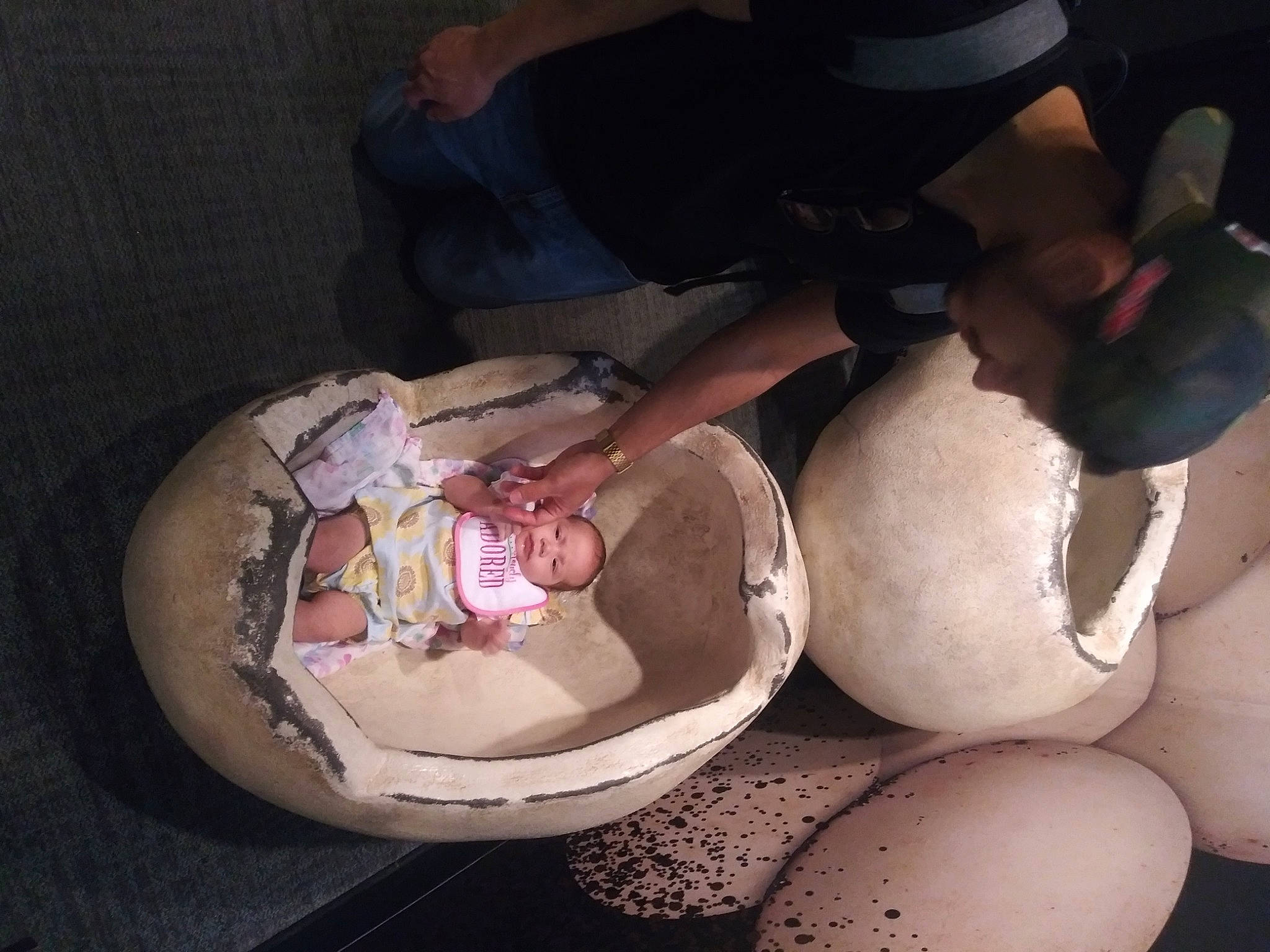 Seraphina is registered to the contest to win money with this photo: automotive_wheel_system, circle, cuisine, dish, hat, ingredient, knee, machine, nail, person, pottery, serveware, sitting, tree, under_exposed