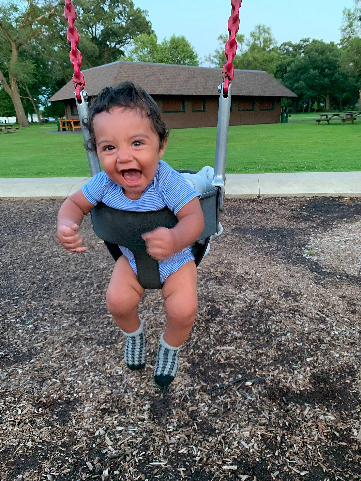 Kelvin joined the competition — help win amazing prizes! child, city, fun, grass, human_settlement, leisure, outdoor_play_equipment, park, person, plant, play, playground, public_space, recreation, smile, swing, toddler, tree, vacation