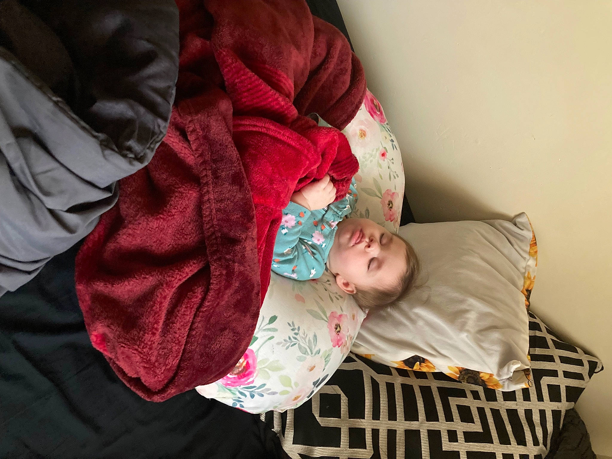 Lyla is registered to the contest to win money with this photo: baby, baby_products, baby_safety, baby_toddler_clothing, bedtime, child, comfort, couch, linens, magenta, nap, person, room, sitting, sleep, sleeve, toddler, tree