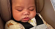 Lowen is registered to the contest to win money with this photo: baby, sleeping, car_seat, child, pajamas, animal_print, safety_harness, infant, peaceful, cute, seatbelt, head_support, soft_toys, resting, indoors, close_up, childcare, comfort, nap, newborn