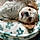 Dottie