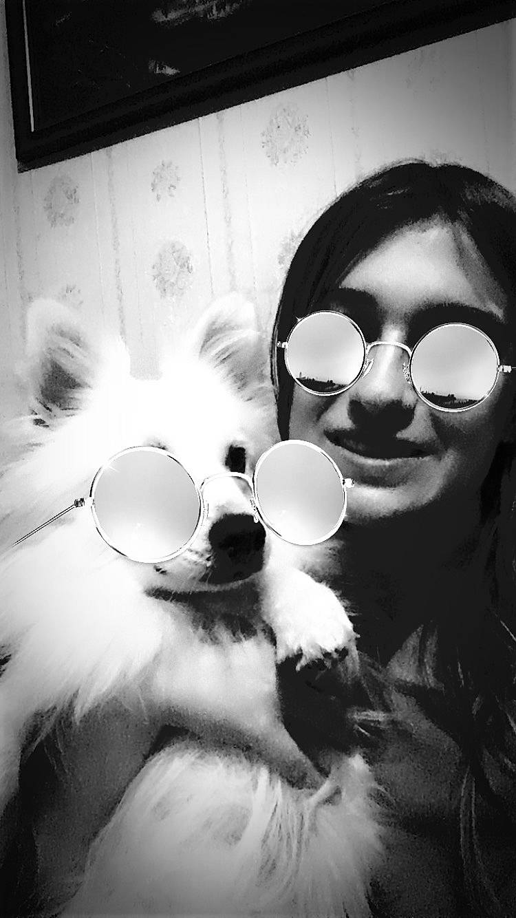Flocon participe au concours pour gagner de l'argent avec cette photo : black_and_white, canidae, eyewear, fun, fur, glasses, monochrome, nose, photography, style, sunglasses, vision_care, white