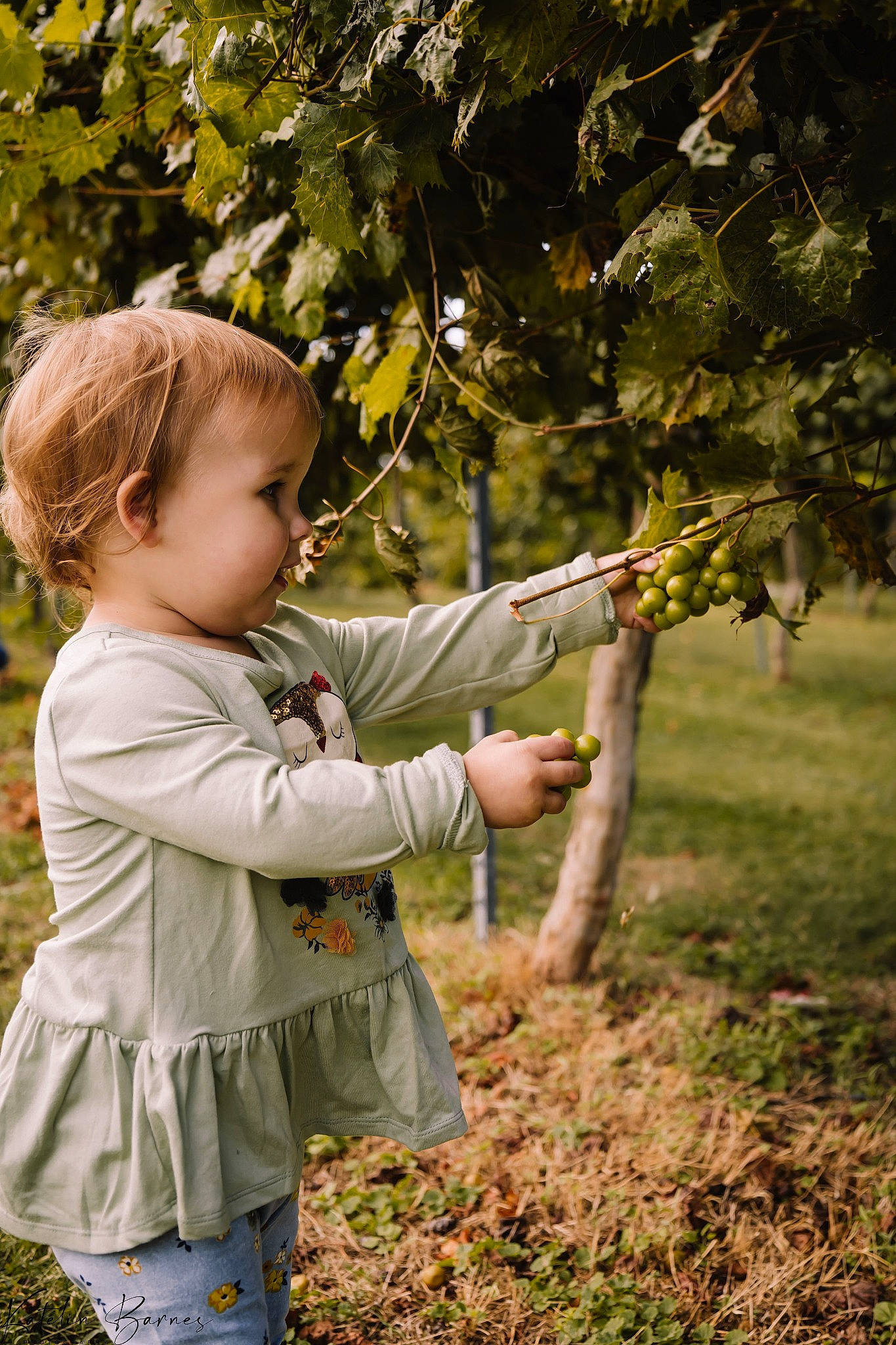 Chloee is registered to the contest to win money with this photo: baby_toddler_clothing, branch, child, deciduous, forest, gesture, grass, happy, leaf, natural_landscape, people_in_nature, person, plant, standing, toddler, tree, twig, wood, woodland, woody_plant