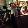 animal, bottle, cat, chair, colorful, container, cozy, cup, curious, domestic, flower, furniture, household_items, indoor, lamp, pet, plant, playful, table, tulip