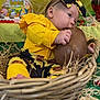 ammunition, baby, basket, biting, clothing, coat, costume, face, grenade, hat, head, jacket, newborn, people, person, photography, portrait, sitting, toy, weapon