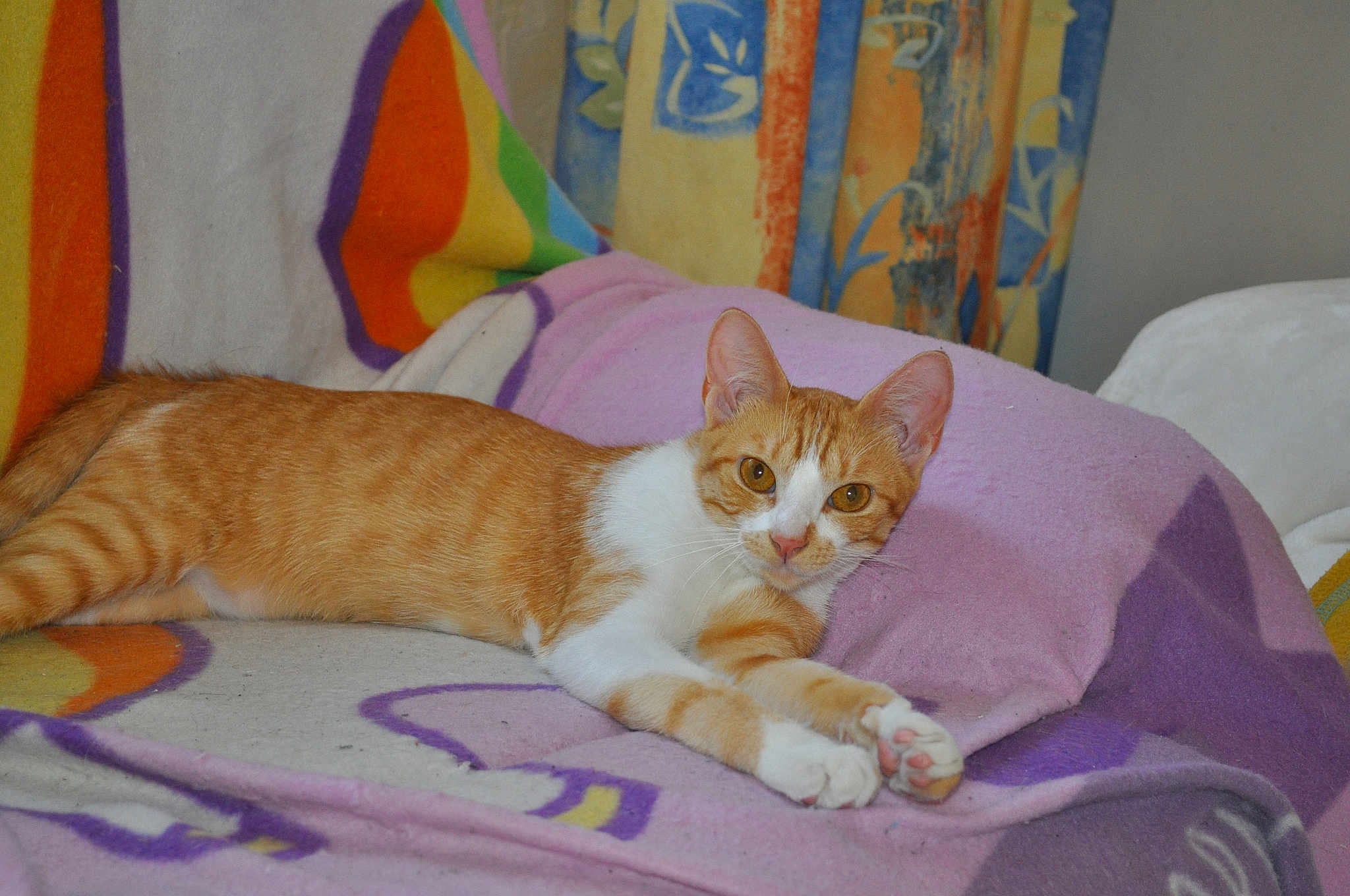 Mimie