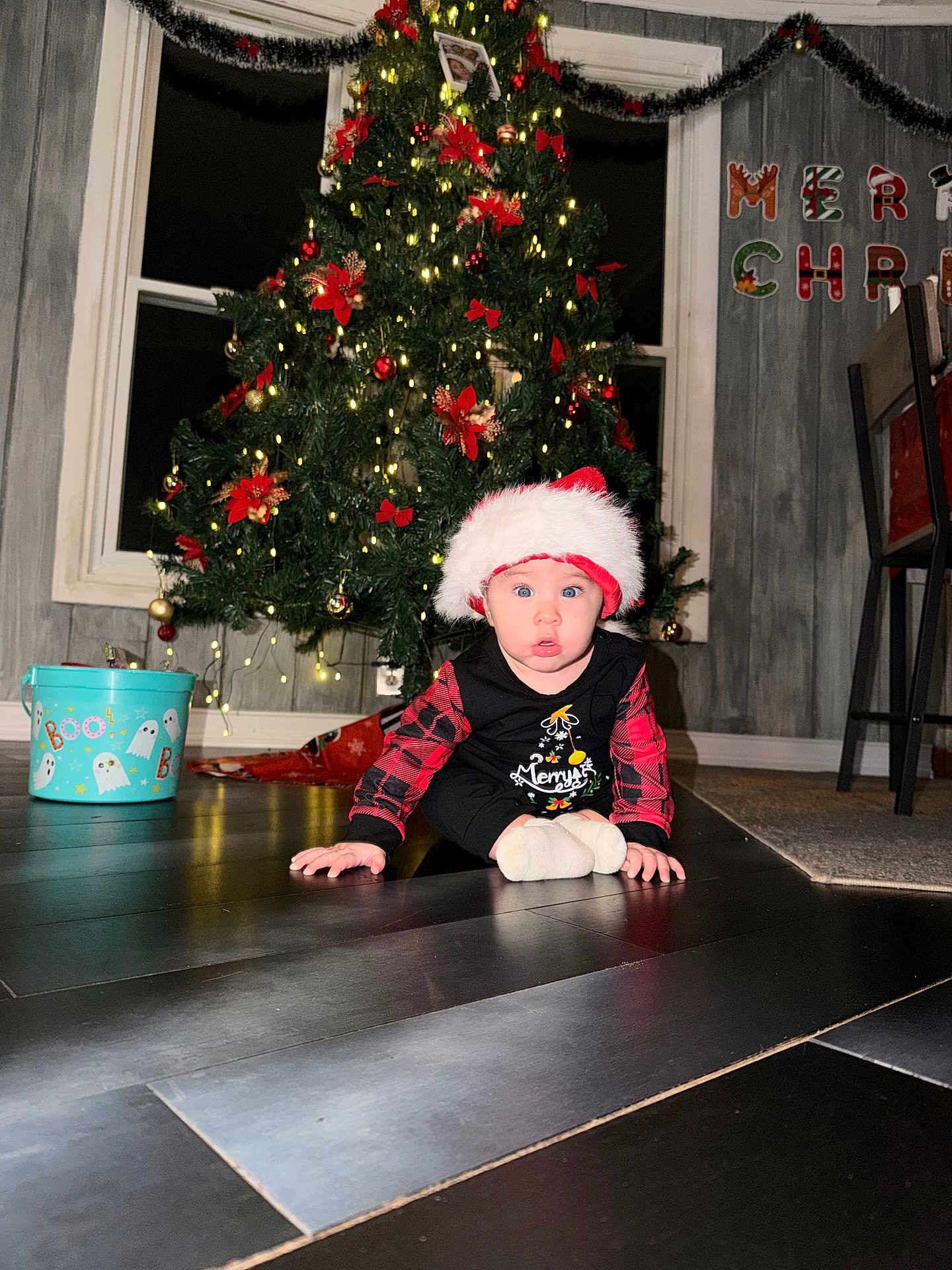 Amira is registered to the contest to win money with this photo: baby, christmas_tree, santa_hat, holiday_decorations, festive_clothing, crawling, floor, indoors, christmas_lights, bucket, ghost_illustrations, window, wall, chair, carpet, red_bows, ornaments, plaid, person, cute