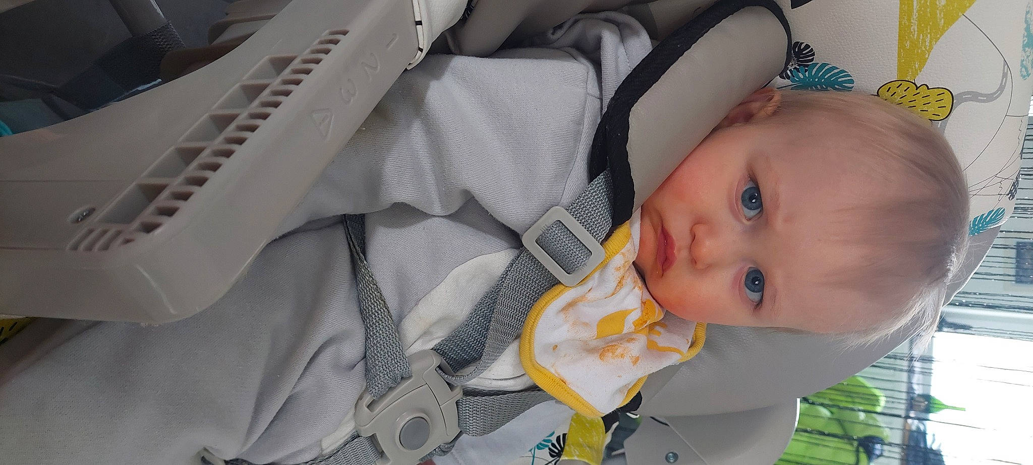 Zlatan a rejoint le concours — aidez-le/la à gagner de superbes lots ! baby, baby_carriage, baby_products, baby_safety, baby_toddler_clothing, car_seat, child, comfort, grass, linens, person, plant, skin, toddler, tree, white