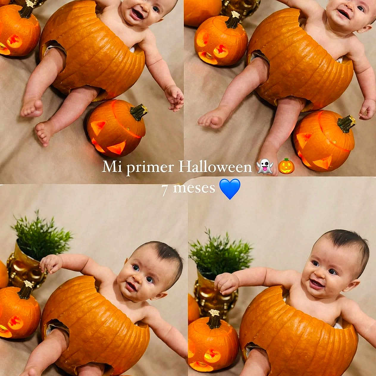 Felix is registered to the contest to win money with this photo: baby, infant, child, smiling, halloween, pumpkin, jack_o_lantern, costume, portrait, photo_collage, four_panel, indoor, celebration, orange, plant, decorations, sitting, lying_down, happy, text_overlay