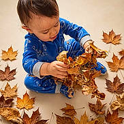 Felix joined the competition — help win amazing prizes! child, toddler, baby, autumn, fall, leaves, maple_leaves, blue_pajamas, sitting, indoors, portrait, playful, curious, harvesting, seasonal, warm_colors, floor, hand, brown_hair, photography