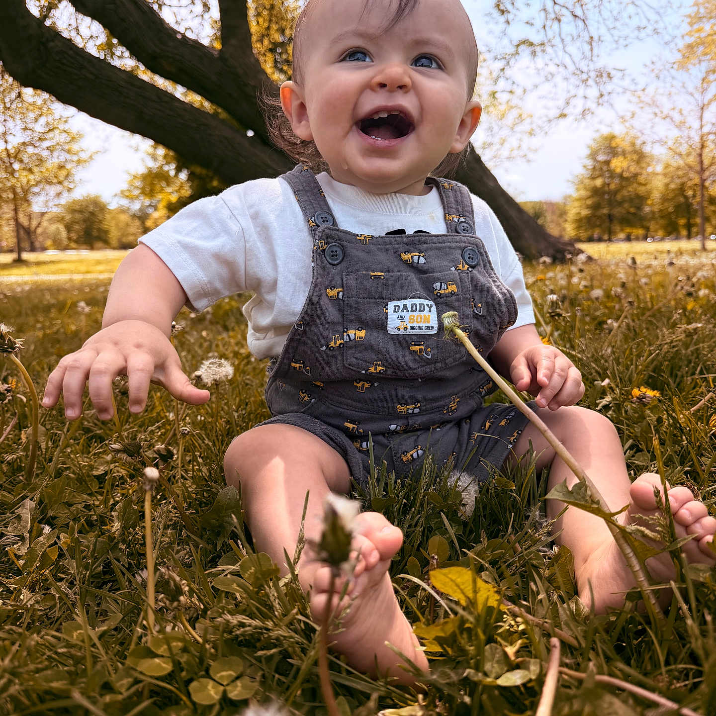 Felix is registered to the contest to win money with this photo: baby, child, smiling, outdoor, park, grass, dandelion, overalls, construction_pattern, white_shirt, sitting, portrait, face, hands, bare_feet, autumn, trees, nature, sunlight, happy