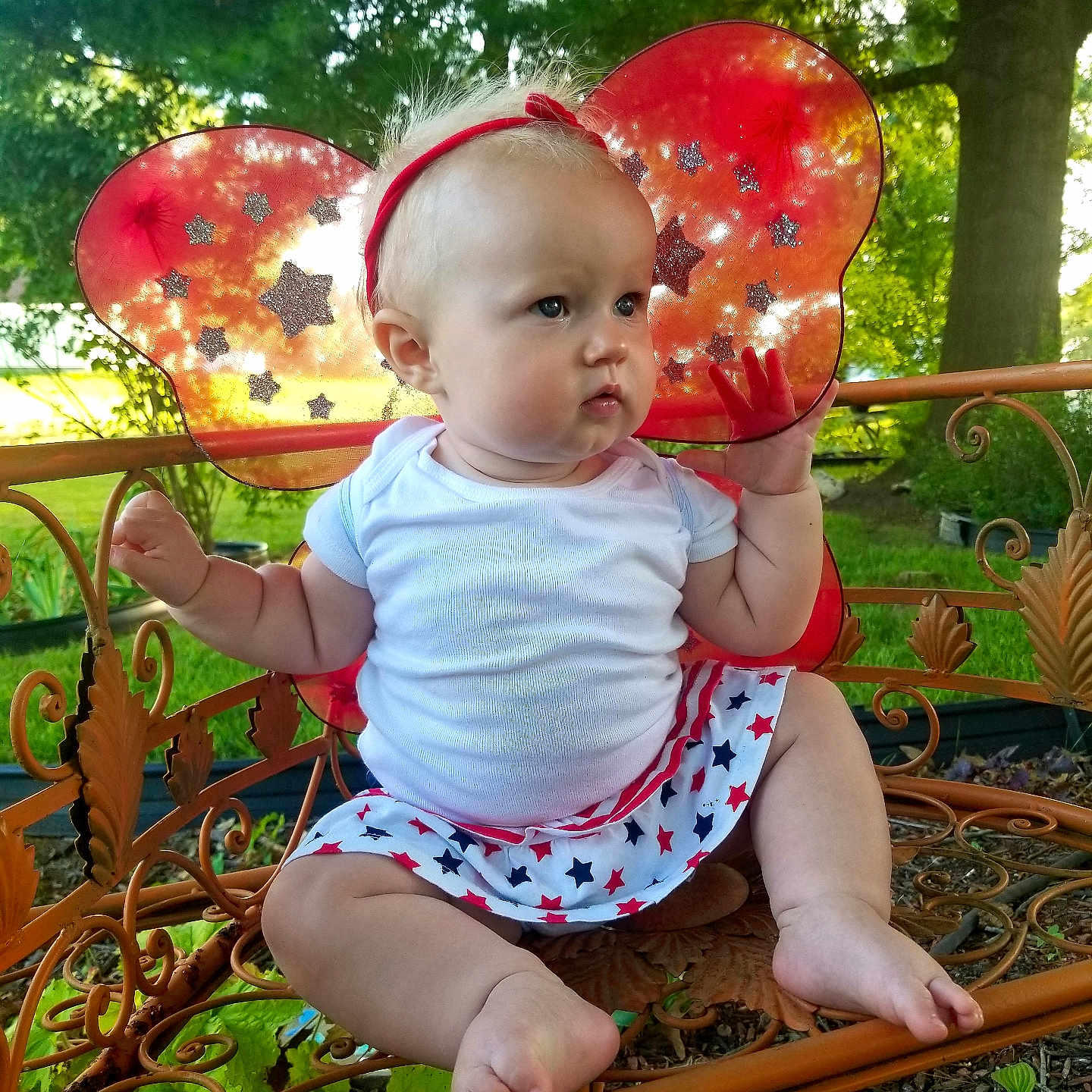 Willow is registered to the contest to win money with this photo: baby, bench, child, curious, cute, fairy_wings, garden, greenery, headband, nature, outdoor, portrait, red_wings, rusty_bench, sitting, skirt, star_pattern, summer, sunlight, white_shirt