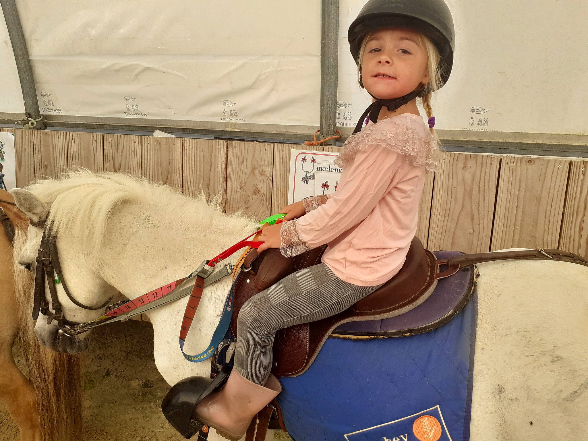 Maywenn a rejoint le concours — aidez-le/la à gagner de superbes lots ! bit, bridle, eye, fun, headgear, headwear, horse, horse_supplies, horse_tack, landscape, livestock, mane, mare, pack_animal, person, recreation, rein, saddle, smile, toddler