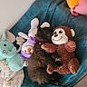kitten, cat, sleeping, fluffy, black_cat, pet, stuffed_animals, monkey_toy, snowman_toy, elephant_toy, plush_toys, blanket, cozy, indoor, nap, cuddling, colorful, bed, relaxed, cute