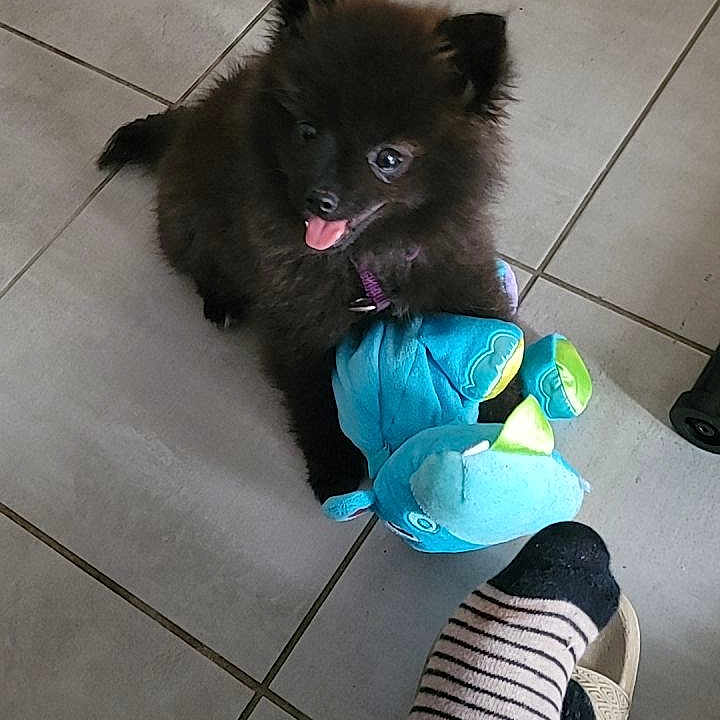 Bella