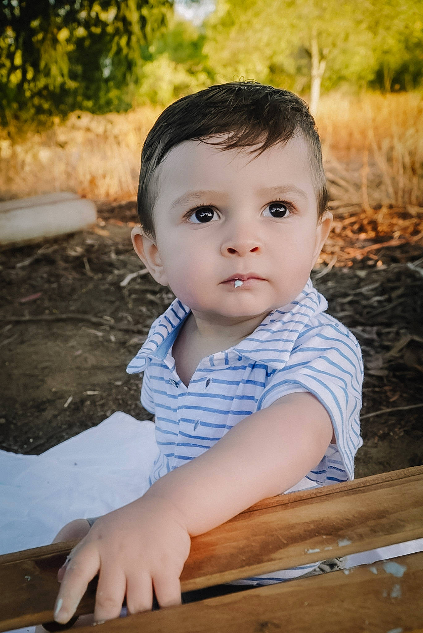 Lorenzo joined the competition — help win amazing prizes! baby_toddler_clothing, cheek, chin, eye, face, flash_photography, grass, happy, head, iris, leaf, leisure, nose, people_in_nature, person, plant, skin, toddler, tree, window