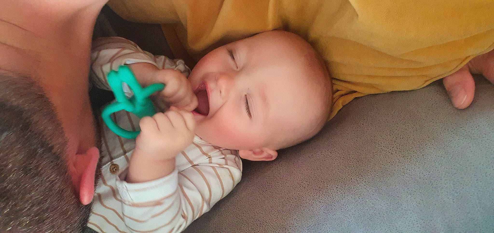 Rudi is registered to the contest to win money with this photo: baby, cheek, child, ear, eye, finger, hand, mouth, nose, person, skin, sleep, toddler