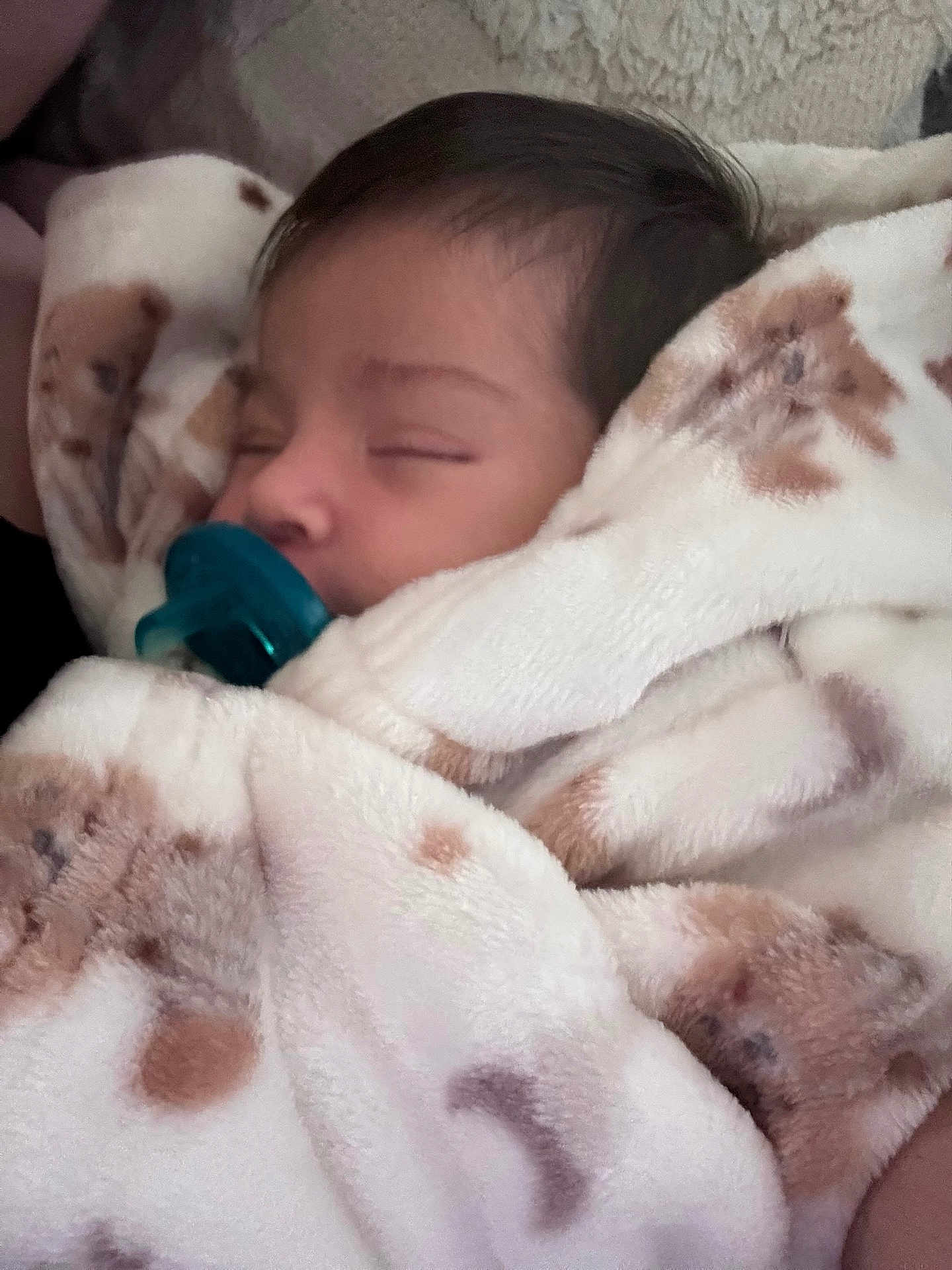 Analeia