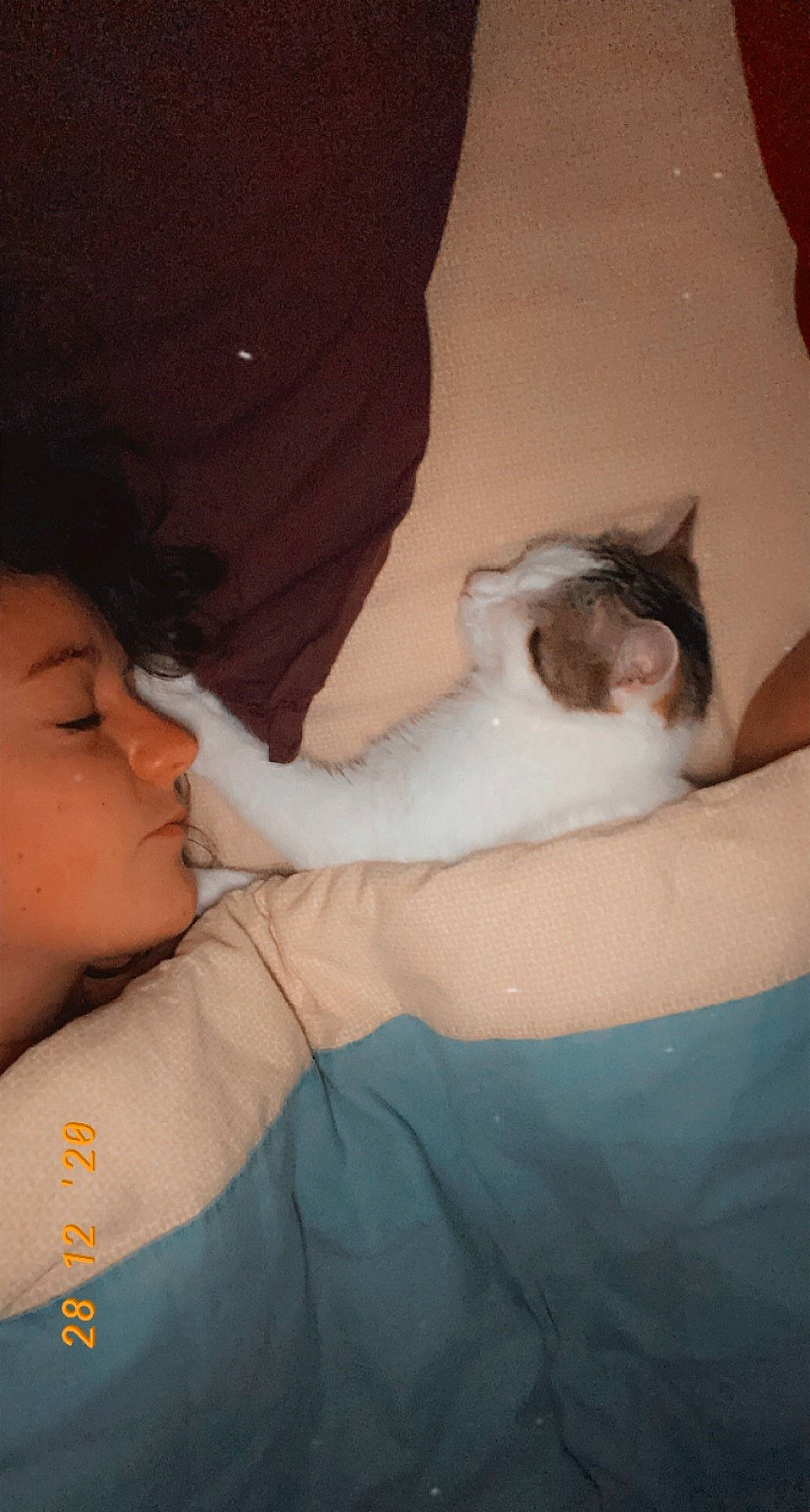 Oreo a rejoint le concours — aidez-le/la à gagner de superbes lots ! baby, black_hair, carnivore, cat, cheek, comfort, domestic_short_haired_cat, felidae, fur, human, interaction, iris, love, mammal, organ, skin, small_to_medium_sized_cats, snout, vertebrate, whiskers