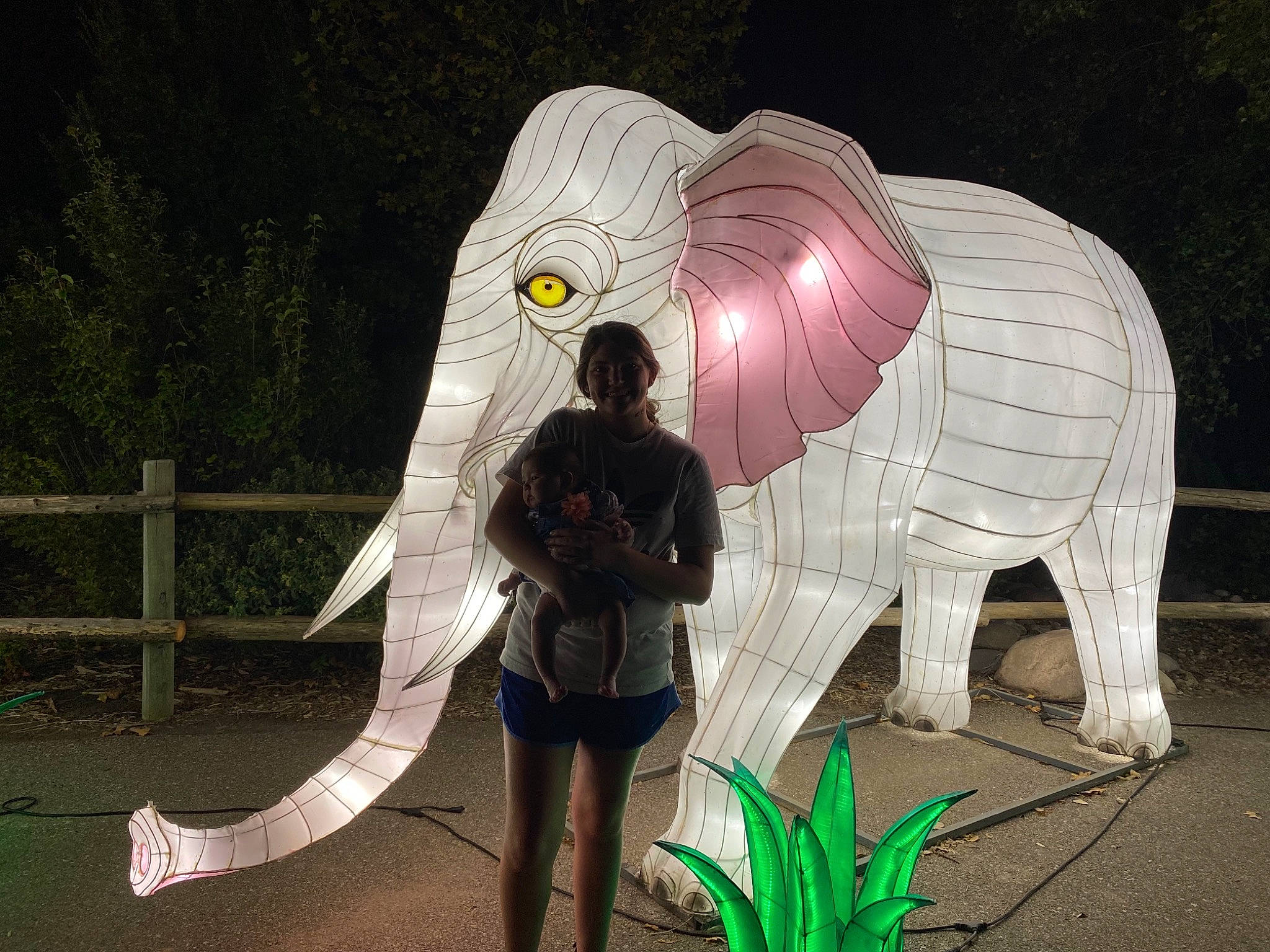 Kynlee is registered to the contest to win money with this photo: african_elephant, art, elephant, elephants_and_mammoths, grass, green, indian_elephant, joy, light, mammal, organ, organism, person, plant, recreation, sculpture, statue, terrestrial_animal, terrestrial_plant, vertebrate