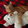 cat, ginger_cat, stuffed_animal, teddy_bear, plush_toy, blanket, checkered_pattern, red, black, feline, pet, cozy, indoor, cute, resting, snuggling, whiskers, soft_texture, animal, domestic_cat