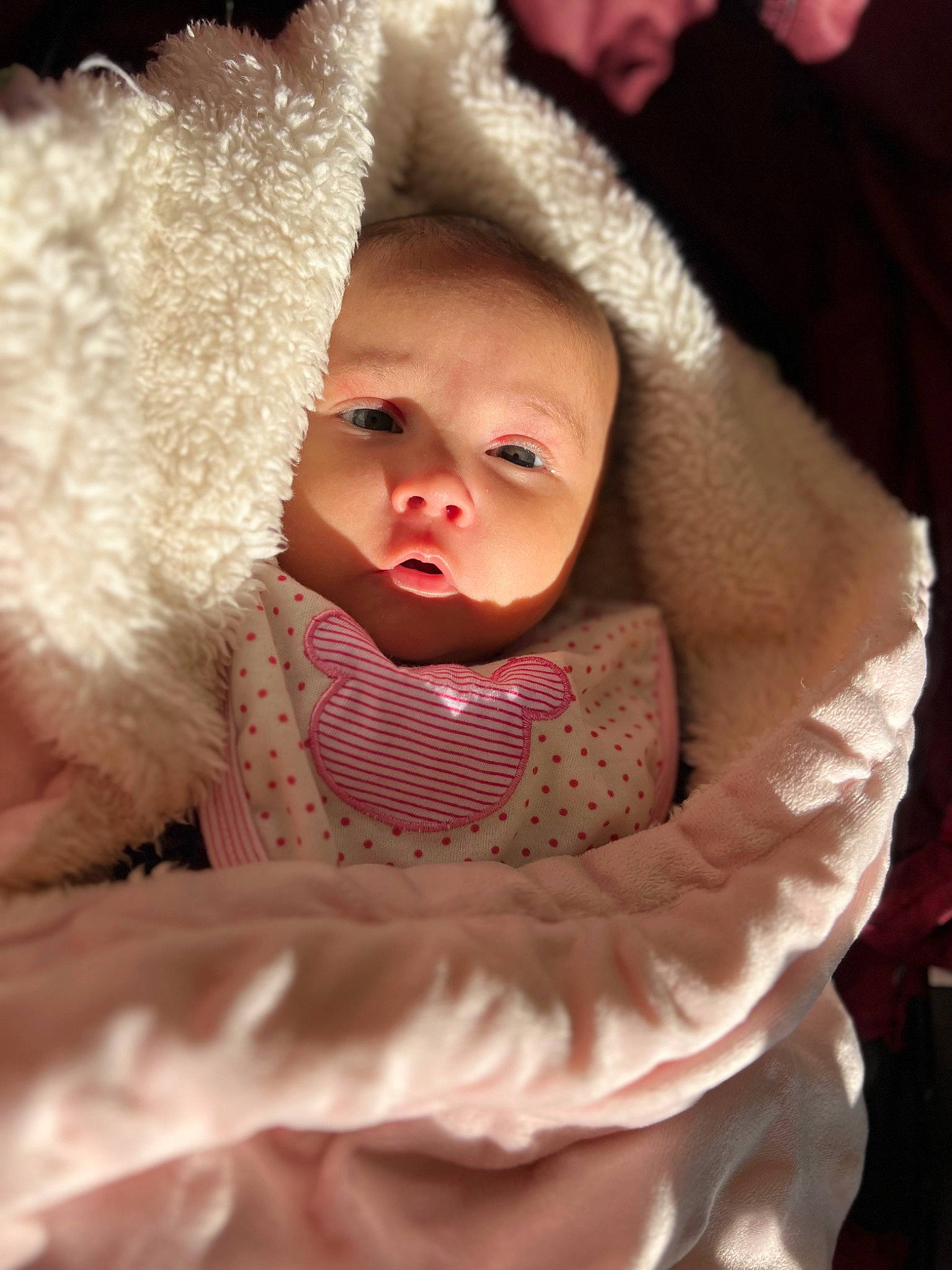 Bella a rejoint le concours — aidez-le/la à gagner de superbes lots ! baby, baby_toddler_clothing, cheek, child, comfort, eye, flash_photography, fun, fur, fur_clothing, happy, head, iris, linens, lip, person, portrait_photography, room, sleeve, toddler