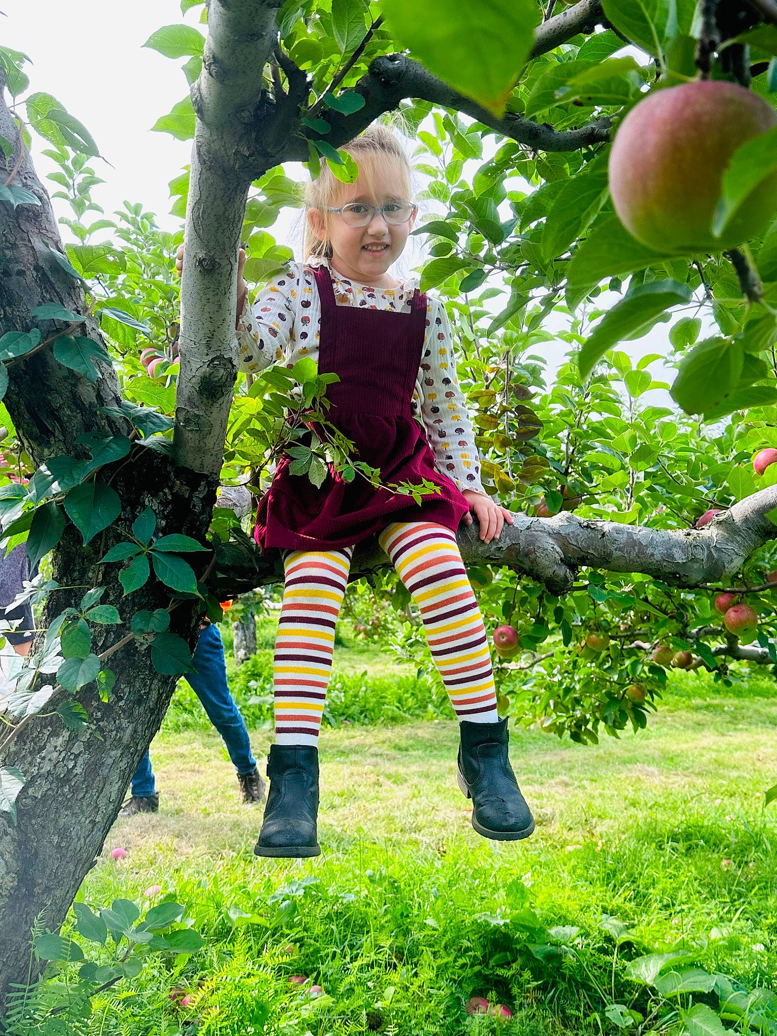 Heaven joined the competition — help win amazing prizes! baby_toddler_clothing, boot, botany, fruit, fun, garden, grass, green, happy, human_leg, knee, leisure, malus, people_in_nature, person, plant, rose_family, sock, toddler, tree